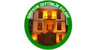 Giresun Zeytinlik Evleri